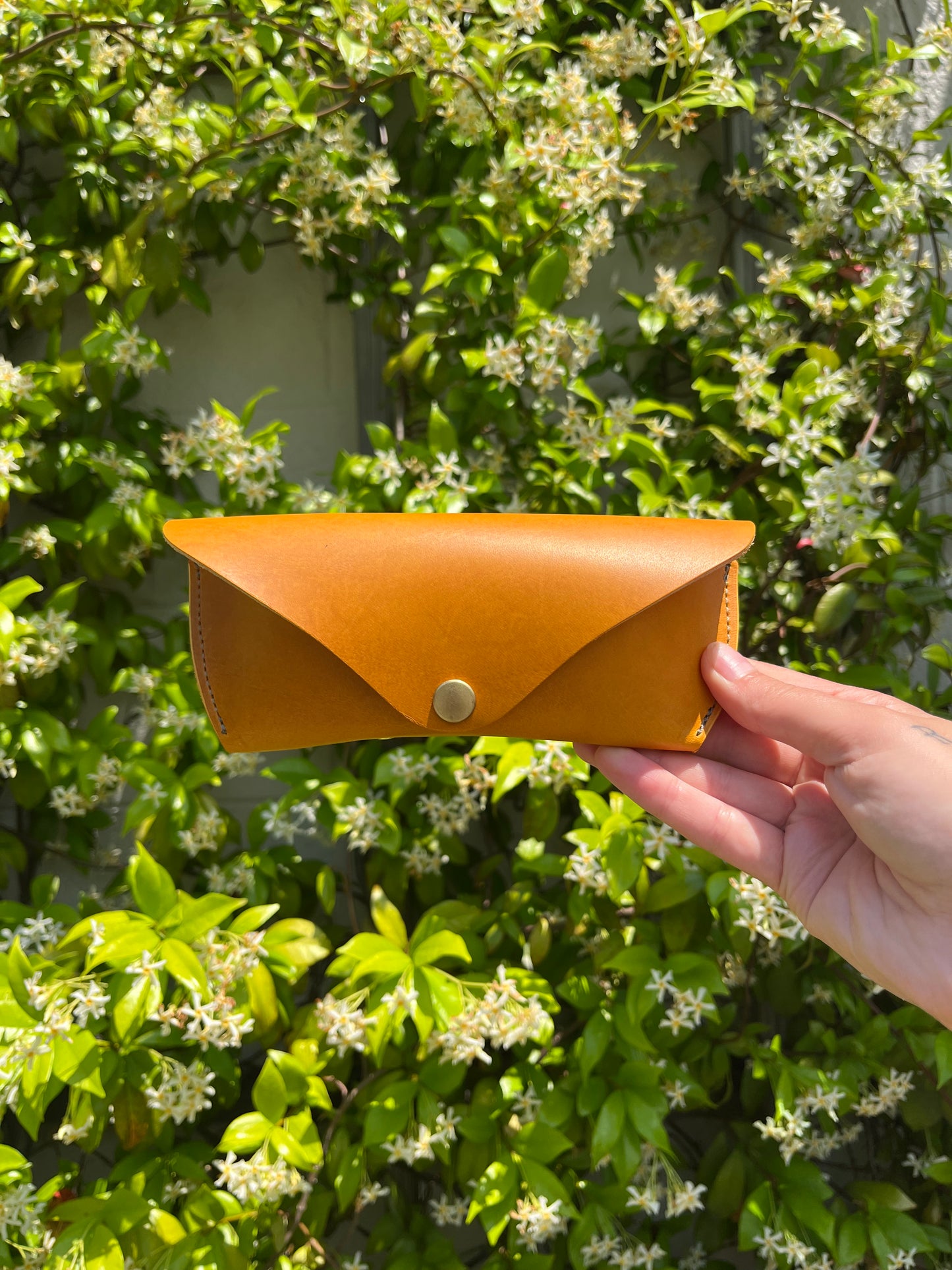 Planted Glasses Case