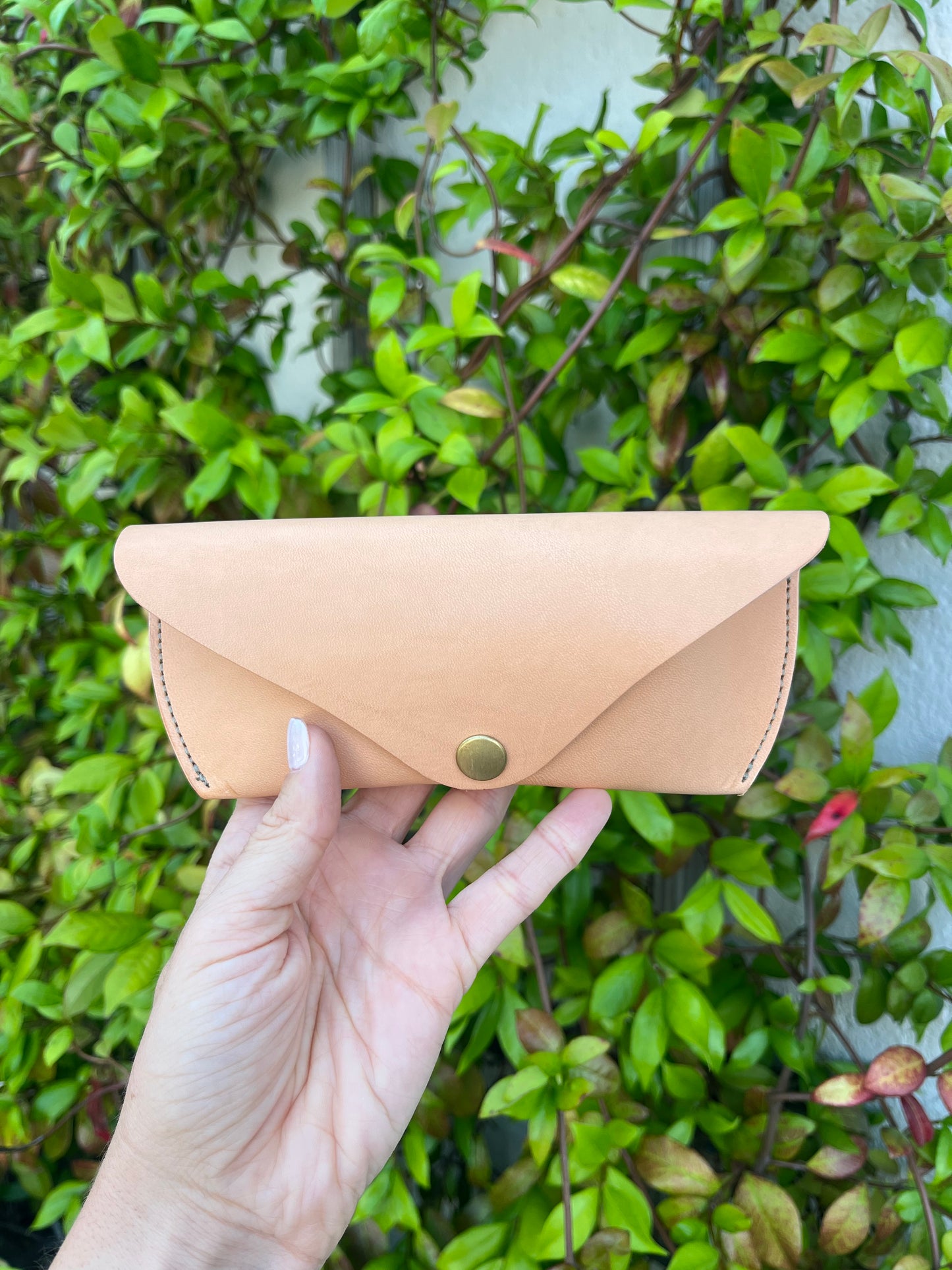 Glasses Case