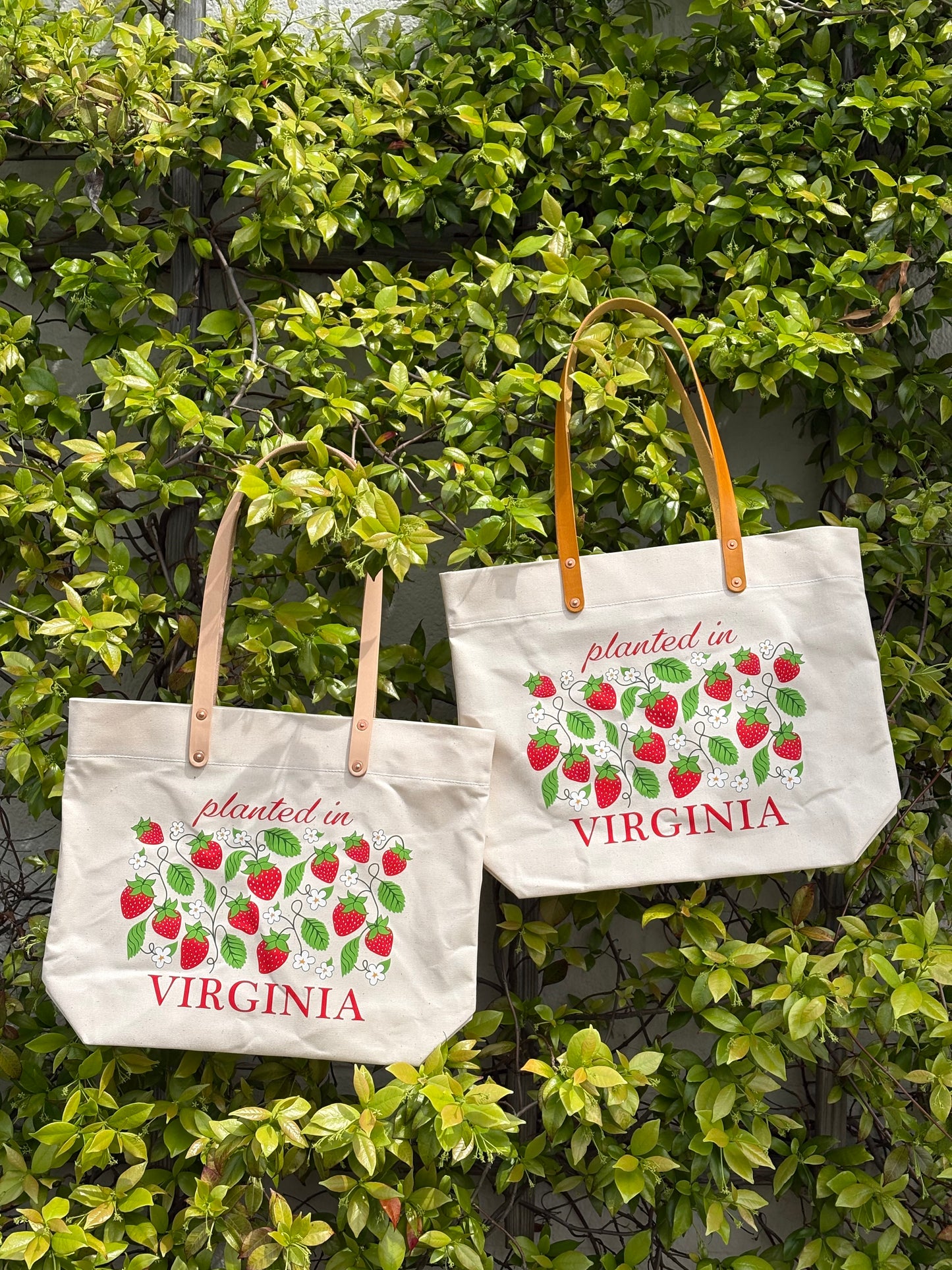 The Planted in Virginia Tote